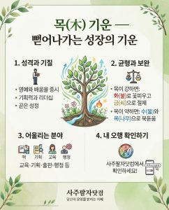 목(木) 기운 — 뻗어나가는 성장의 기운
