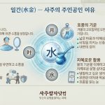수(水) 기운 — 흐르고 스며드는 지혜의 기운