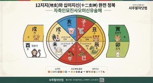자축인묘진사오미신유술해