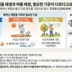 겨울 태생과 여름 태생, 필요한 기운이 다르다고요?