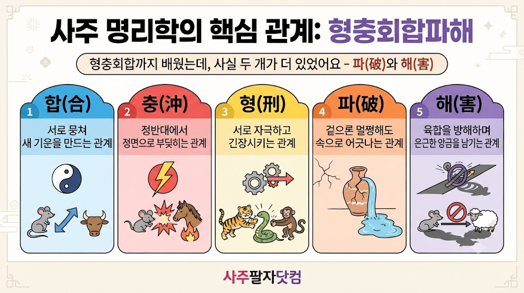 형충회합 파와 해